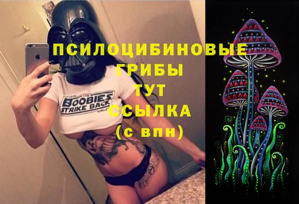 эйфоретик Алзамай
