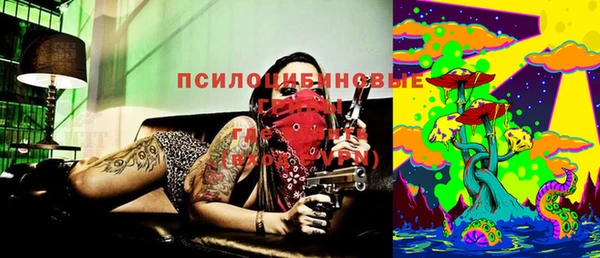 эйфоретик Алзамай