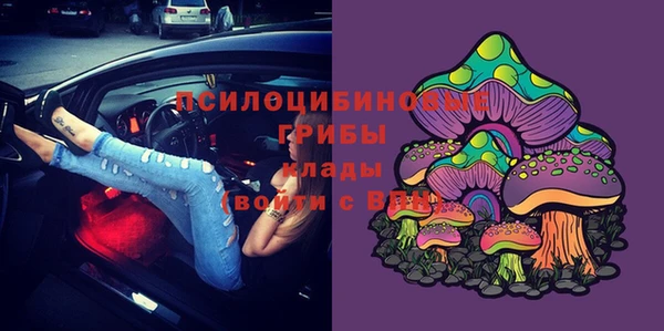 PSILOCYBIN Армянск