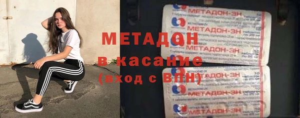 индика Арсеньев