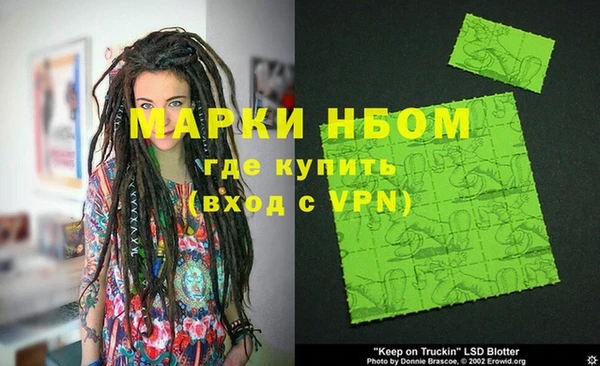 прущие грибы Абинск