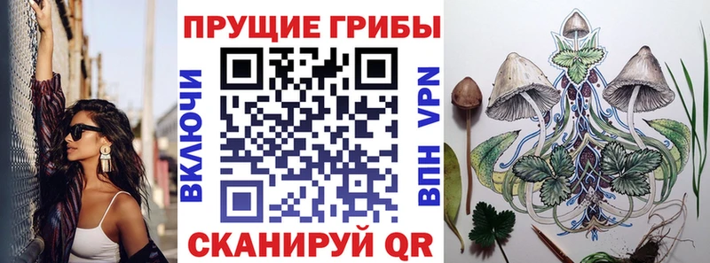 Галлюциногенные грибы Magic Shrooms  Енисейск 
